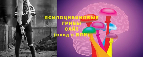 jwh Алзамай