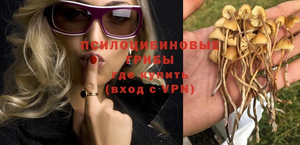молекула духа Абинск