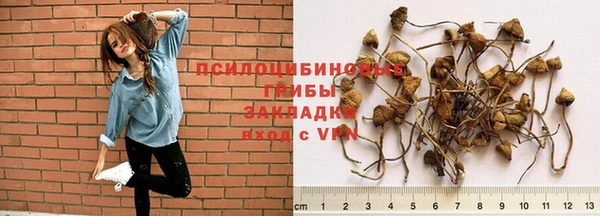 молекула духа Абинск